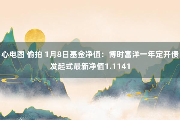 心电图 偷拍 1月8日基金净值：博时富洋一年定开债发起式最新净值1.1141