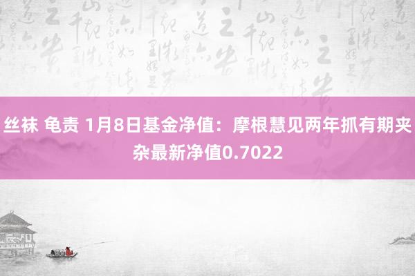 丝袜 龟责 1月8日基金净值：摩根慧见两年抓有期夹杂最新净值0.7022