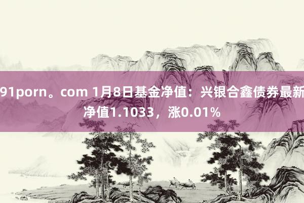 91porn。com 1月8日基金净值：兴银合鑫债券最新净值1.1033，涨0.01%