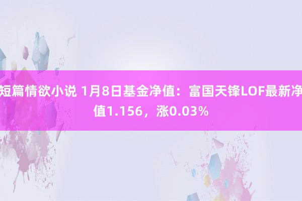 短篇情欲小说 1月8日基金净值：富国天锋LOF最新净值1.156，涨0.03%