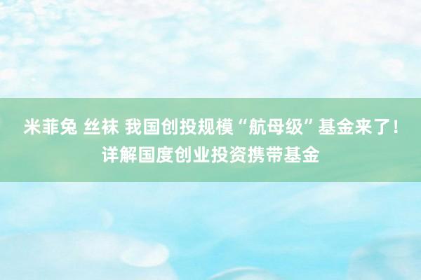米菲兔 丝袜 我国创投规模“航母级”基金来了！详解国度创业投资携带基金