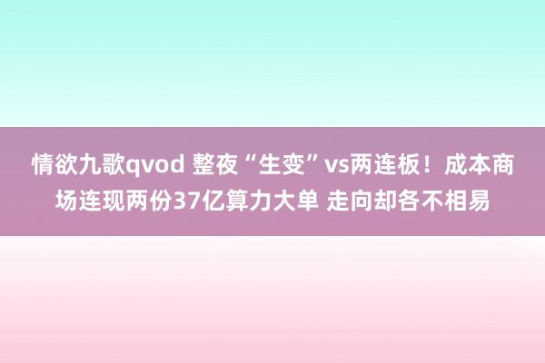 情欲九歌qvod 整夜“生变”vs两连板！成本商场连现两份37亿算力大单 走向却各不相易