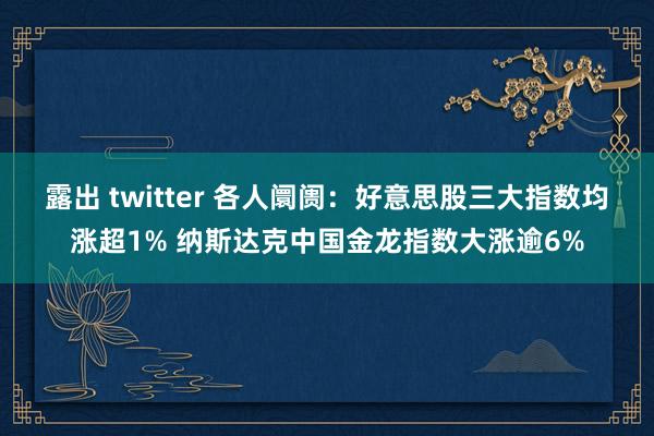 露出 twitter 各人阛阓：好意思股三大指数均涨超1% 纳斯达克中国金龙指数大涨逾6%