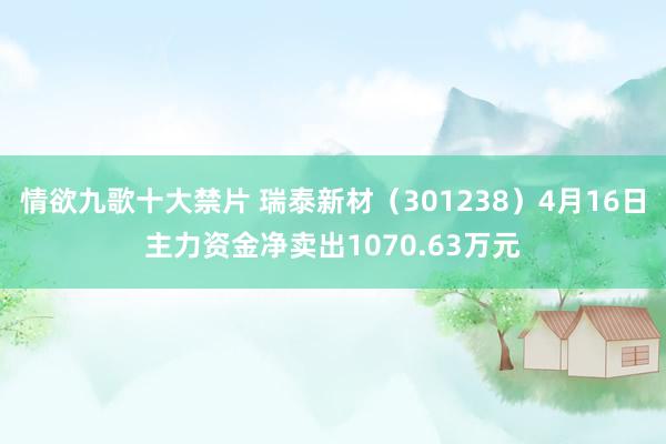 情欲九歌十大禁片 瑞泰新材（301238）4月16日主力资金净卖出1070.63万元