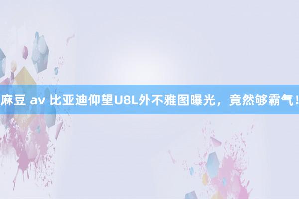 麻豆 av 比亚迪仰望U8L外不雅图曝光，竟然够霸气！