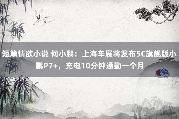 短篇情欲小说 何小鹏：上海车展将发布5C旗舰版小鹏P7+，充电10分钟通勤一个月