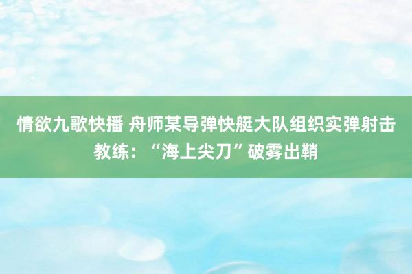 情欲九歌快播 舟师某导弹快艇大队组织实弹射击教练：“海上尖刀”破雾出鞘