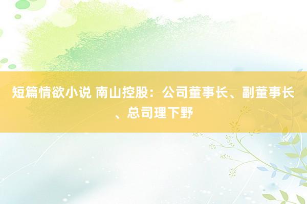 短篇情欲小说 南山控股：公司董事长、副董事长、总司理下野