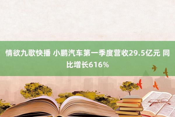 情欲九歌快播 小鹏汽车第一季度营收29.5亿元 同比增长616%