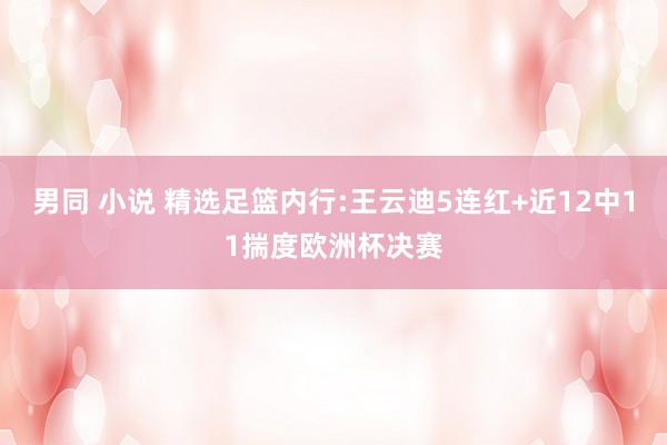 男同 小说 精选足篮内行:王云迪5连红+近12中11揣度欧洲杯决赛