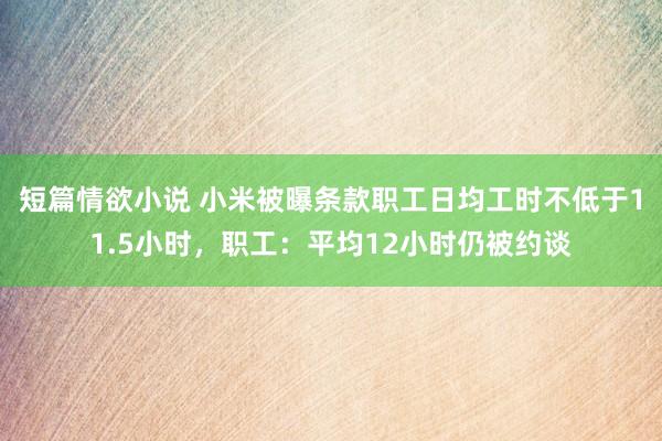 短篇情欲小说 小米被曝条款职工日均工时不低于11.5小时，职工：平均12小时仍被约谈