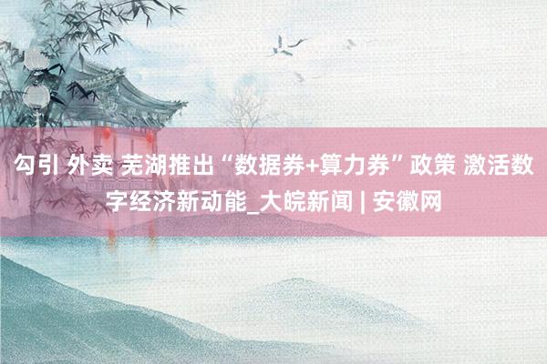 勾引 外卖 芜湖推出“数据券+算力券”政策 激活数字经济新动能_大皖新闻 | 安徽网