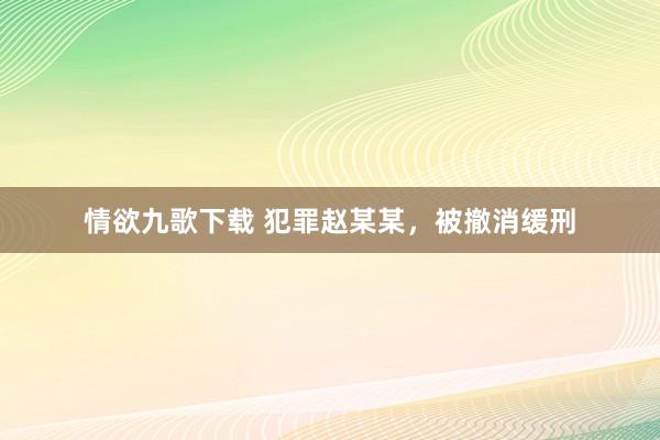 情欲九歌下载 犯罪赵某某，被撤消缓刑